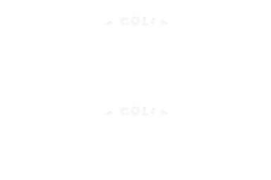 Upstate Collective Inc.